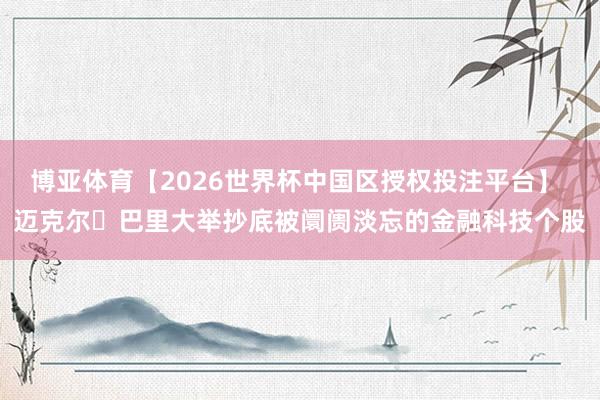 博亚体育【2026世界杯中国区授权投注平台】 迈克尔・巴里大举抄底被阛阓淡忘的金融科技个股