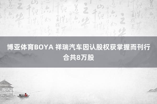 博亚体育BOYA 祥瑞汽车因认股权获掌握而刊行合共8万股