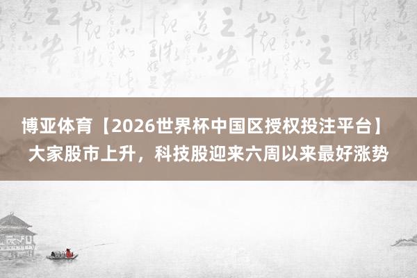 博亚体育【2026世界杯中国区授权投注平台】 大家股市上升，科技股迎来六周以来最好涨势