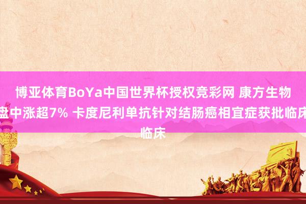 博亚体育BoYa中国世界杯授权竞彩网 康方生物盘中涨超7% 卡度尼利单抗针对结肠癌相宜症获批临床