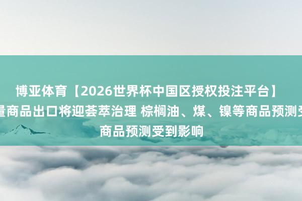 博亚体育【2026世界杯中国区授权投注平台】 印尼大量商品出口将迎荟萃治理 棕榈油、煤、镍等商品预测受到影响