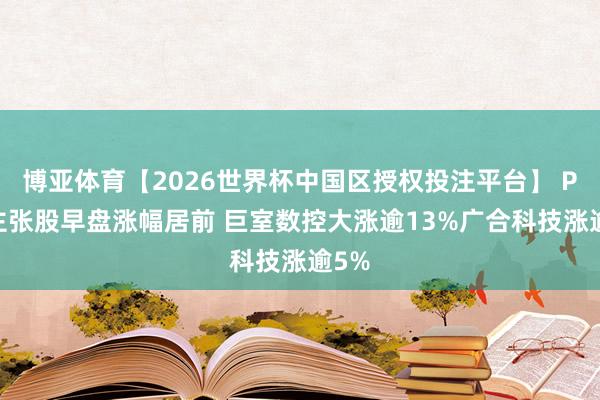 博亚体育【2026世界杯中国区授权投注平台】 PCB主张股早盘涨幅居前 巨室数控大涨逾13%广合科技涨逾5%