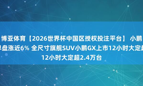 博亚体育【2026世界杯中国区授权投注平台】 小鹏集团-W早盘涨近6% 全尺寸旗舰SUV小鹏GX上市12小时大定超2.4万台