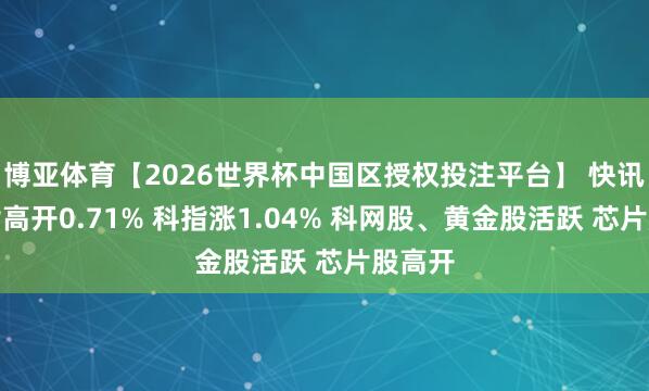 博亚体育【2026世界杯中国区授权投注平台】 快讯：恒指高开0.71% 科指涨1.04% 科网股、黄金股活跃 芯片股高开