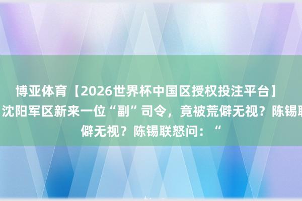 博亚体育【2026世界杯中国区授权投注平台】 1972年，沈阳军区新来一位“副”司令，竟被荒僻无视？陈锡联怒问：“