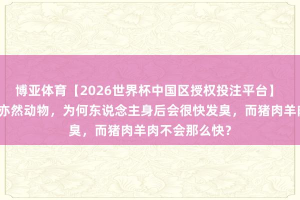 博亚体育【2026世界杯中国区授权投注平台】 明明东说念主亦然动物，为何东说念主身后会很快发臭，而猪肉羊肉不会那么快？