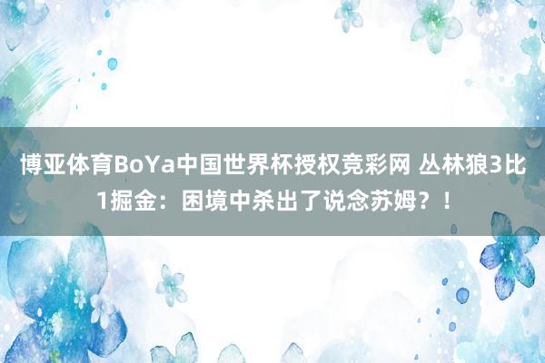 博亚体育BoYa中国世界杯授权竞彩网 丛林狼3比1掘金：困境中杀出了说念苏姆？！