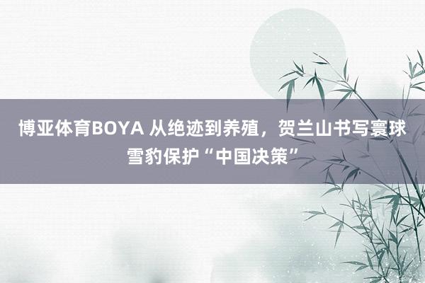 博亚体育BOYA 从绝迹到养殖，贺兰山书写寰球雪豹保护“中国决策”