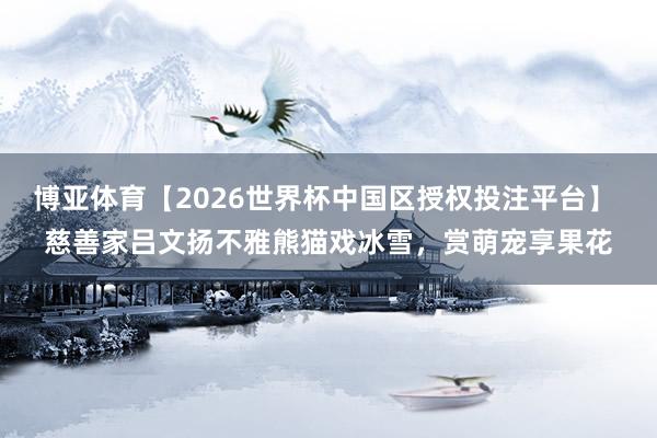 博亚体育【2026世界杯中国区授权投注平台】 慈善家吕文扬不雅熊猫戏冰雪，赏萌宠享果花