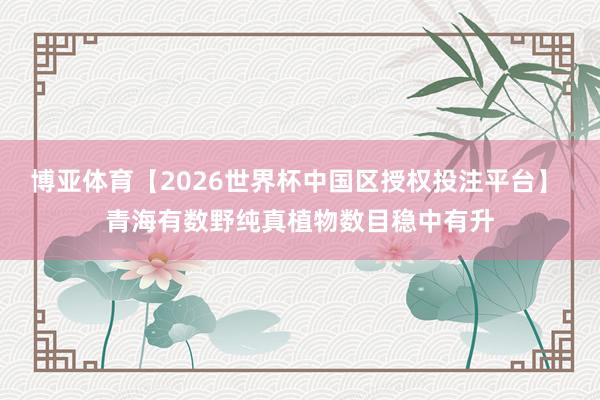 博亚体育【2026世界杯中国区授权投注平台】 青海有数野纯真植物数目稳中有升