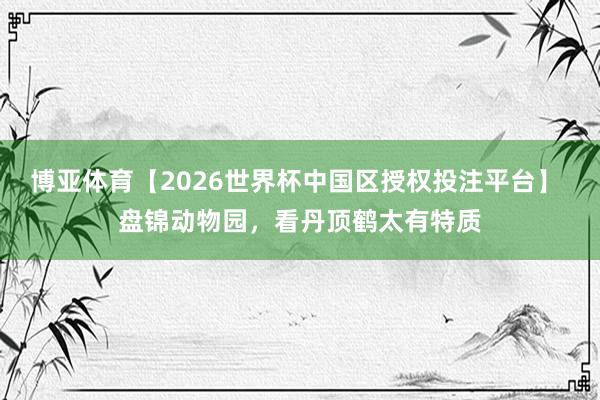 博亚体育【2026世界杯中国区授权投注平台】 盘锦动物园，看丹顶鹤太有特质