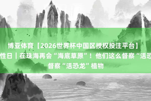 博亚体育【2026世界杯中国区授权投注平台】 生物千般性日｜在珠海再会“海底草原”！他们这么督察“活恐龙”植物
