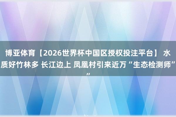 博亚体育【2026世界杯中国区授权投注平台】 水质好竹林多 长江边上 凤凰村引来近万“生态检测师”