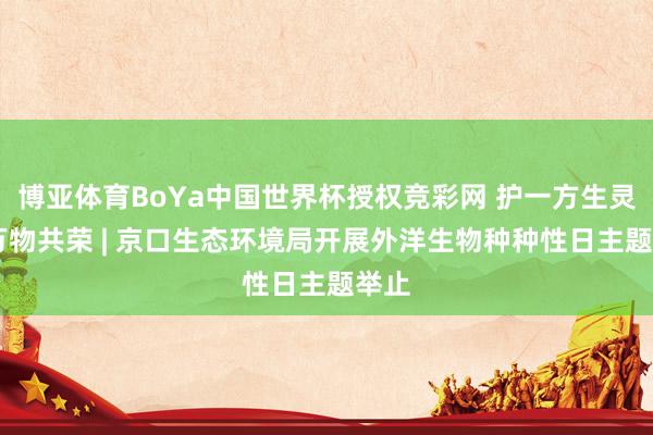 博亚体育BoYa中国世界杯授权竞彩网 护一方生灵 泽万物共荣 | 京口生态环境局开展外洋生物种种性日主题举止