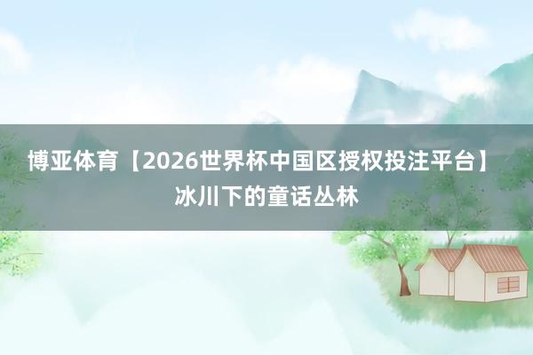 博亚体育【2026世界杯中国区授权投注平台】 冰川下的童话丛林