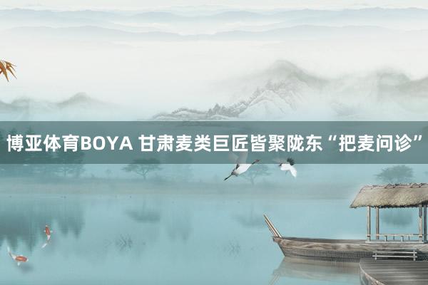 博亚体育BOYA 甘肃麦类巨匠皆聚陇东“把麦问诊”
