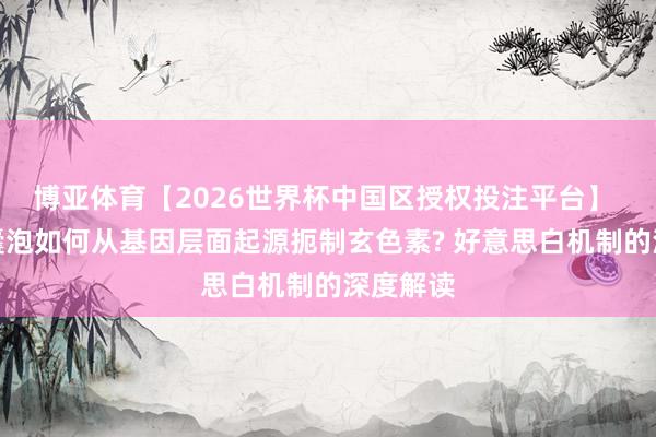 博亚体育【2026世界杯中国区授权投注平台】 细胞外囊泡如何从基因层面起源扼制玄色素? 好意思白机制的深度解读