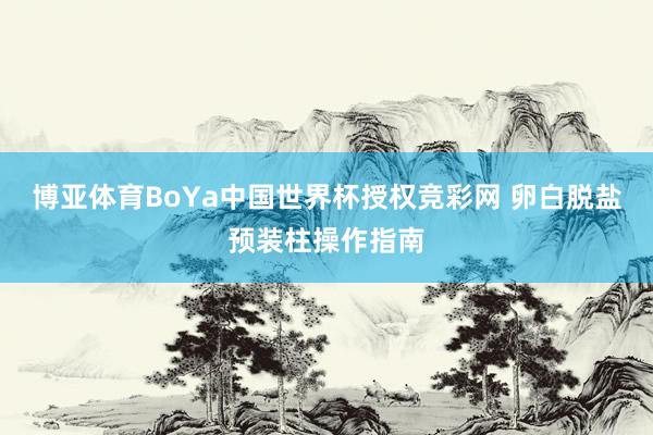 博亚体育BoYa中国世界杯授权竞彩网 卵白脱盐预装柱操作指南