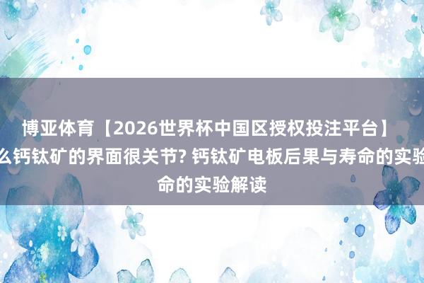 博亚体育【2026世界杯中国区授权投注平台】 为什么钙钛矿的界面很关节? 钙钛矿电板后果与寿命的实验解读