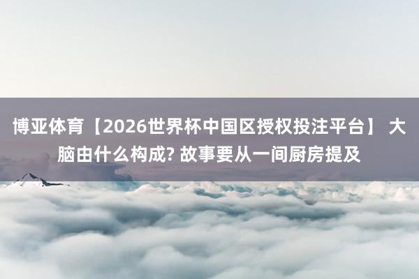 博亚体育【2026世界杯中国区授权投注平台】 大脑由什么构成? 故事要从一间厨房提及