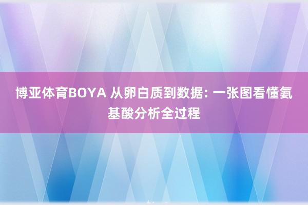 博亚体育BOYA 从卵白质到数据: 一张图看懂氨基酸分析全过程