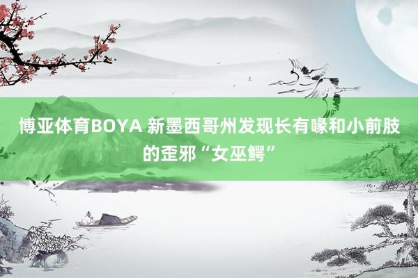 博亚体育BOYA 新墨西哥州发现长有喙和小前肢的歪邪“女巫鳄”