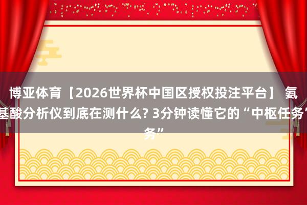 博亚体育【2026世界杯中国区授权投注平台】 氨基酸分析仪到底在测什么? 3分钟读懂它的“中枢任务”