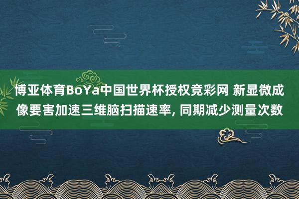 博亚体育BoYa中国世界杯授权竞彩网 新显微成像要害加速三维脑扫描速率， 同期减少测量次数