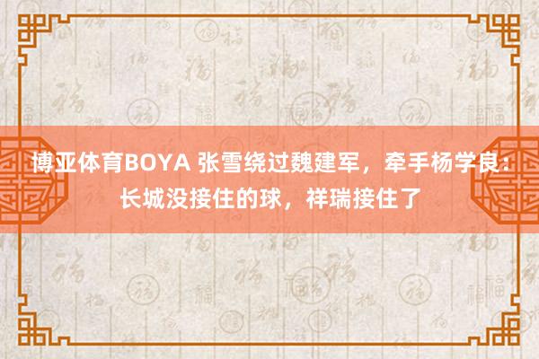 博亚体育BOYA 张雪绕过魏建军，牵手杨学良：长城没接住的球，祥瑞接住了