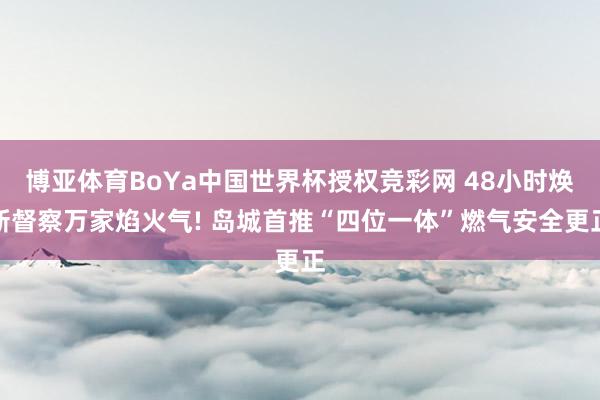 博亚体育BoYa中国世界杯授权竞彩网 48小时焕新督察万家焰火气! 岛城首推“四位一体”燃气安全更正