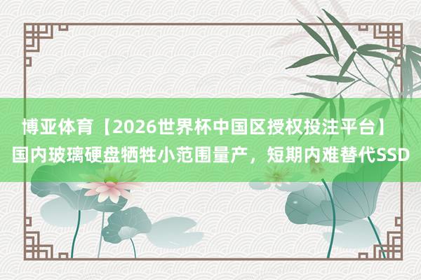 博亚体育【2026世界杯中国区授权投注平台】 国内玻璃硬盘牺牲小范围量产，短期内难替代SSD