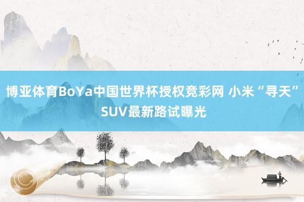 博亚体育BoYa中国世界杯授权竞彩网 小米“寻天” SUV最新路试曝光