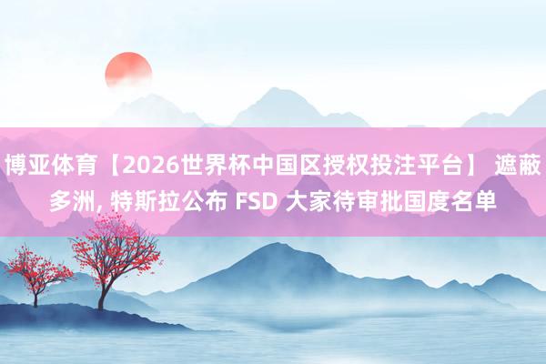 博亚体育【2026世界杯中国区授权投注平台】 遮蔽多洲， 特斯拉公布 FSD 大家待审批国度名单