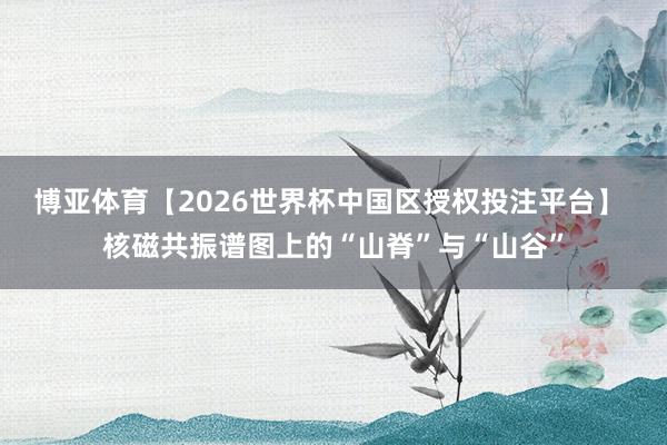 博亚体育【2026世界杯中国区授权投注平台】 核磁共振谱图上的“山脊”与“山谷”