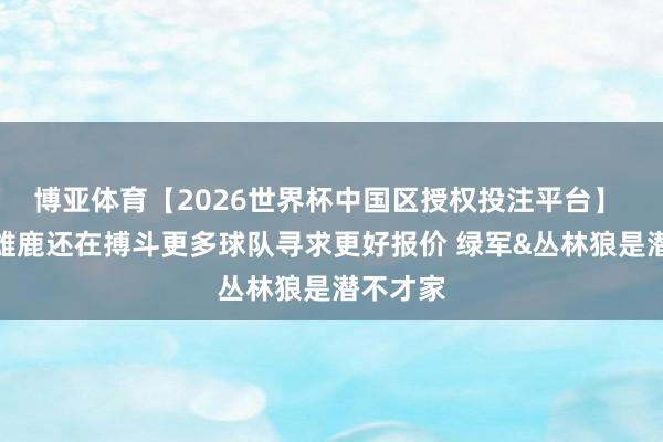 博亚体育【2026世界杯中国区授权投注平台】 名记:雄鹿还在搏斗更多球队寻求更好报价 绿军&丛林狼是潜不才家