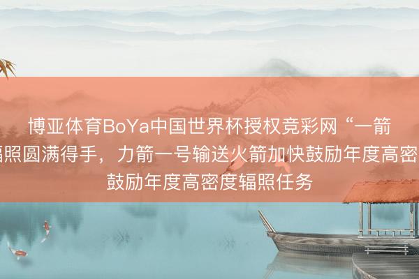 博亚体育BoYa中国世界杯授权竞彩网 “一箭8星”专车辐照圆满得手，力箭一号输送火箭加快鼓励年度高密度辐照任务