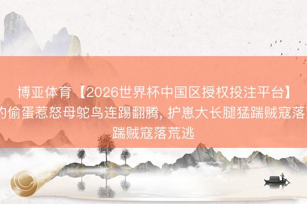 博亚体育【2026世界杯中国区授权投注平台】 花豹偷蛋惹怒母鸵鸟连踢翻腾， 护崽大长腿猛踹贼寇落荒逃